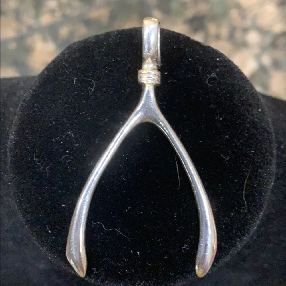 Sterling Silver Wishbone Pendant - Silver